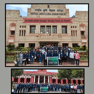 Captivating study tour to Delhi